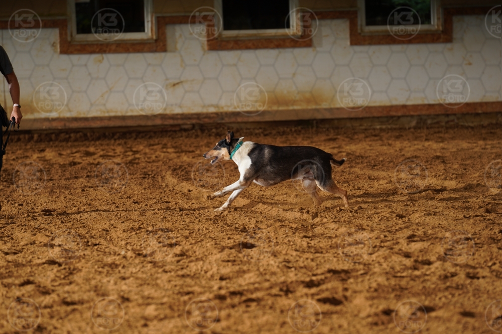 s_A9_05916.jpg